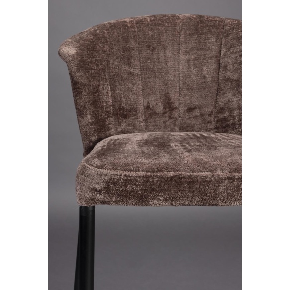 Baaritool Georgia Terra