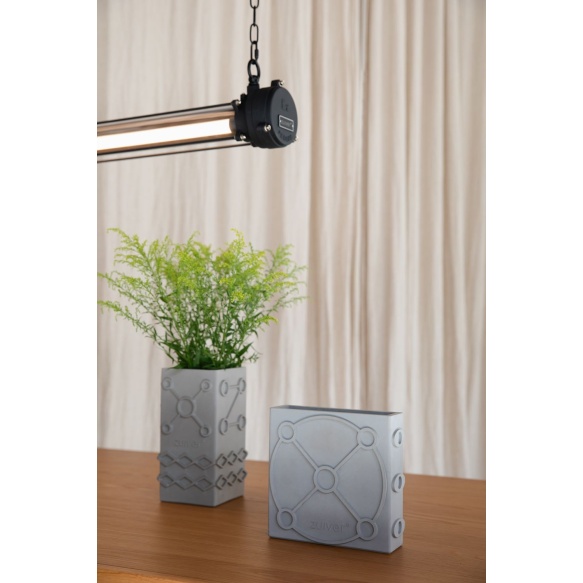 Vaas Graphic Flat Grey