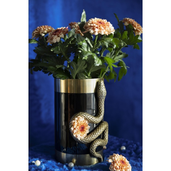 Vaasi Never Hurt A Snake M