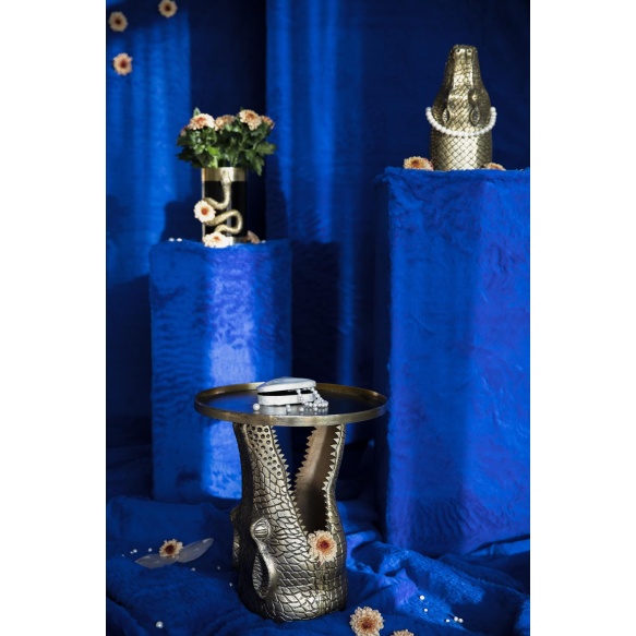 Vaasi Never Hurt A Snake M