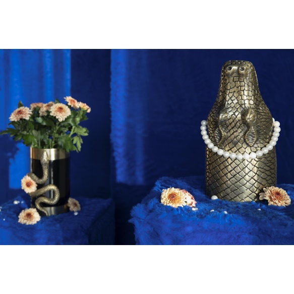 Vaasi Never Hurt A Snake M