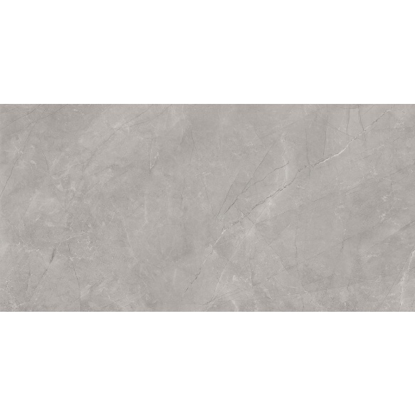 BAYONA põrandaplaat Silver Natural 60x120 (pakk=1,44m2)