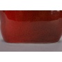 vaas Edna M Red