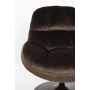 tugitool Beefy Brown