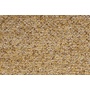 tugitool Duvane Brown