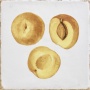 FORLI Fruits Decor Mix 15x15
